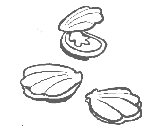 Clams